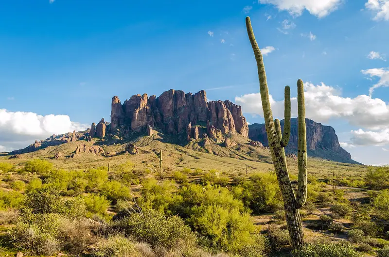 Superstition Mountains with saguaro (the Apache Junction skyline), Apache Junction, Arizona