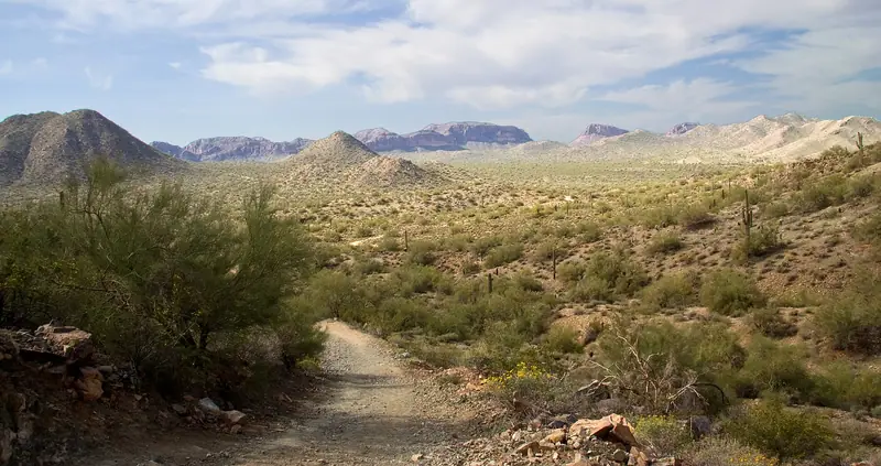 Trail in San Tan Regional Park, looking over the desert, San Tan Valley, Arizona